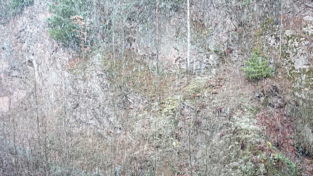 拜尔斯布龙Waldblick Tonbach公寓 客房 照片
